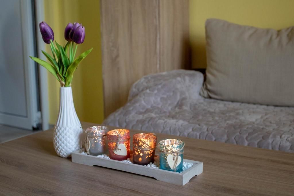Апартаменты Apartments Stella Вирпазар-74